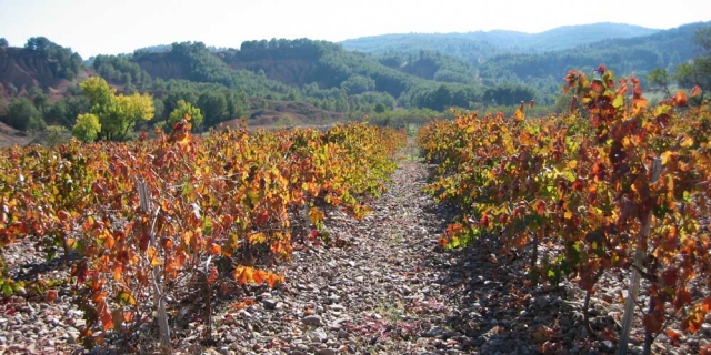 Sierra de Pardos